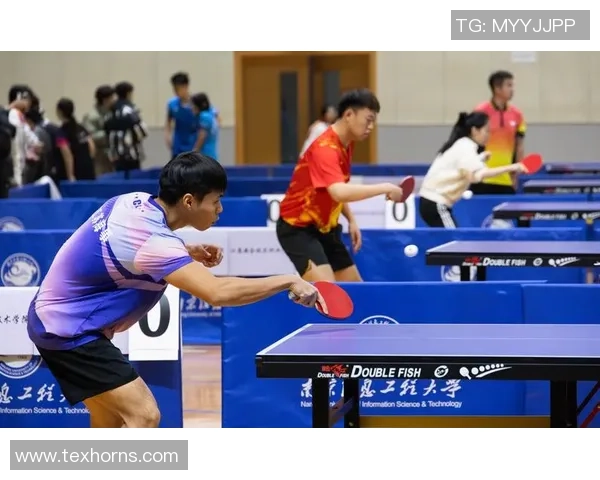 南京乒乓球队的奋斗历程与荣耀之路全景回顾