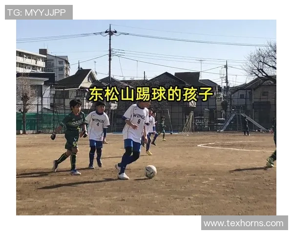 天津足球明星的崛起与影响力探讨