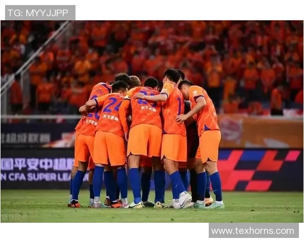 杭州羽毛球队速度之争引发热议球迷与专家各执己见探讨真相