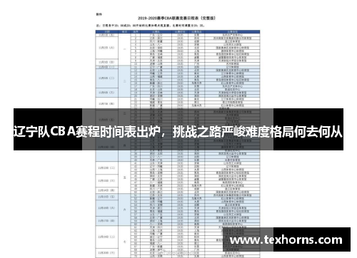 辽宁队CBA赛程时间表出炉，挑战之路严峻难度格局何去何从