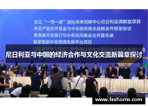 尼日利亚与中国的经济合作与文化交流新篇章探讨