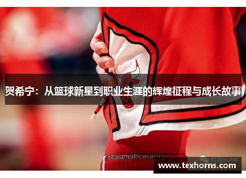 贺希宁：从篮球新星到职业生涯的辉煌征程与成长故事