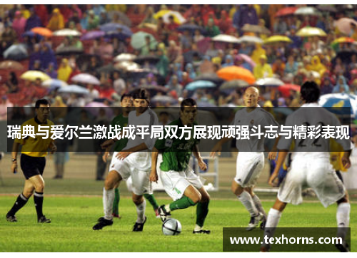 瑞典与爱尔兰激战成平局双方展现顽强斗志与精彩表现