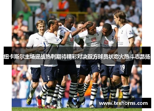 纽卡斯尔主场迎战热刺期待精彩对决双方球员状态火热斗志昂扬